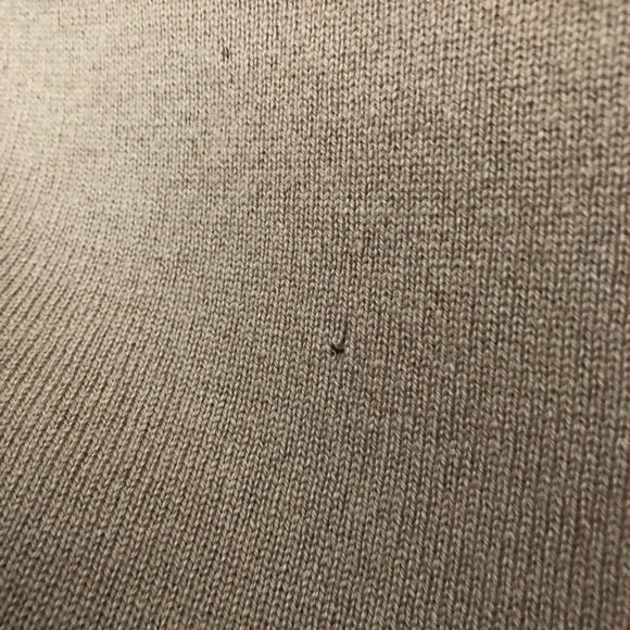 Everlane Cashmere Crew - Picture 8 of 9